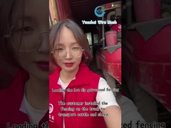 Dekorative Drahtgitter-Dreieck-Zaunfeld, hohe Sicherheit, kundenspezifische Farbe