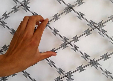 High Tensile Concertina Razor Wire Barbed Wire Easy Install Powder Coated BTO-22