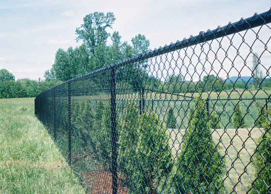 Heißes eingetaucht galvanisierte vorübergehendes Messgerät 4.0mm Mesh Fencings 9 für Bauernhof